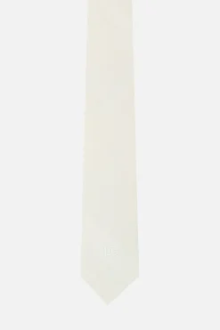 cravatta in raso ricamo DG