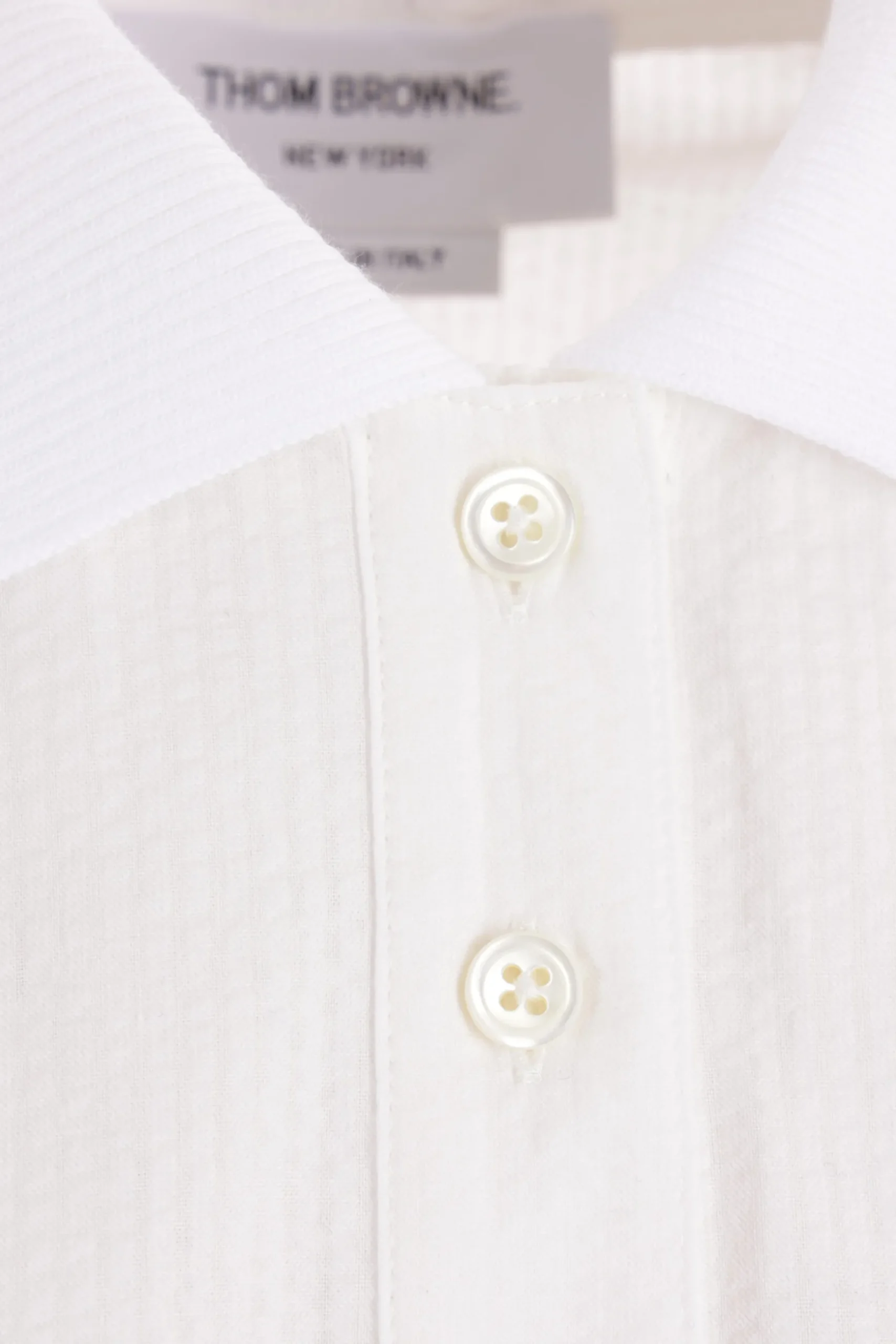 polo in seersucker